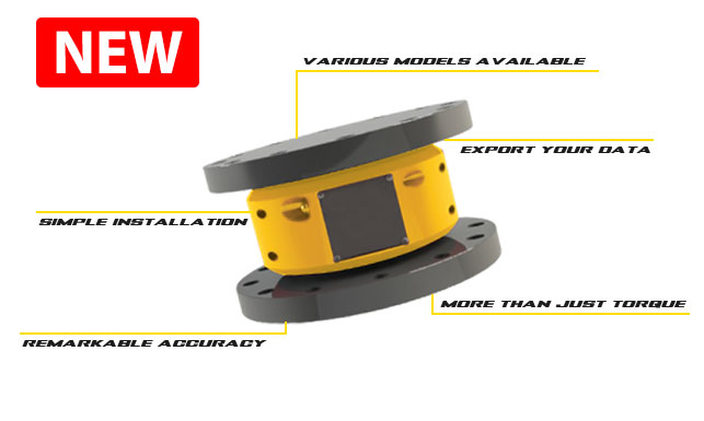 Torque Monitoring System